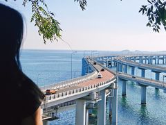 -星海湾跨海大桥