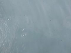 -中铁花水湾温泉酒店(大邑店)