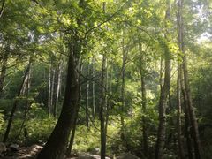 -沕沕水生态风景区