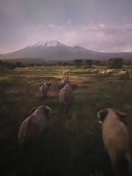 -翱翔飞越地平线