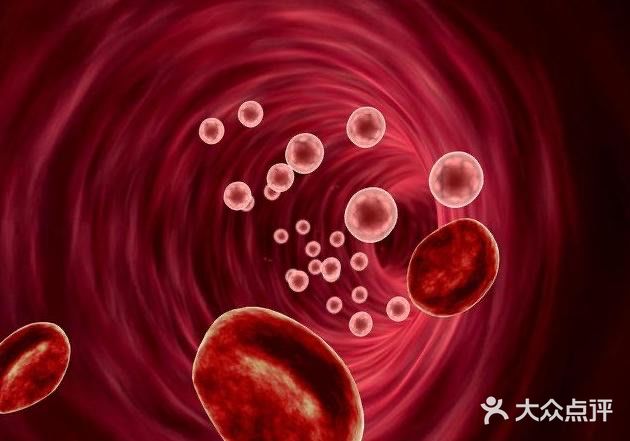 护血管、促循环，受益一辈子