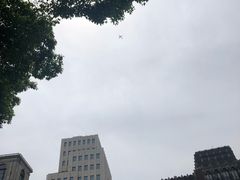 -真光大楼