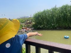-樂桃源奉贤黄桃种植采摘基地