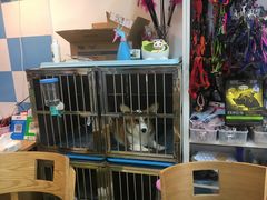 -秀猫阁·猫咪花园(万达店)