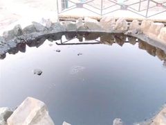 -黑油山景区