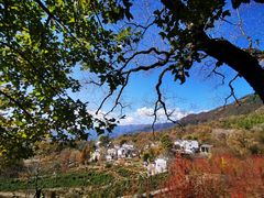 -塔川景区