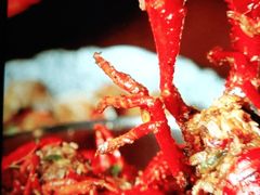 -伍氏猪脚(五一庙街店)