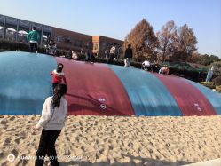 -季高兔窝窝亲子园(上海薰衣草公园店)