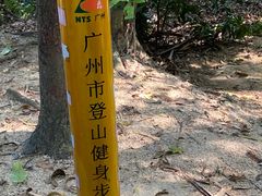 -火炉山森林公园