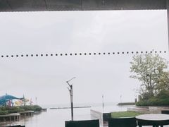 -黑龙茶HEYLONGCHA