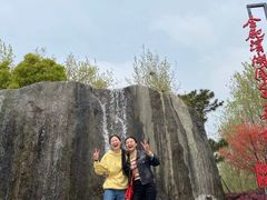 -合肥滨湖国家森林公园