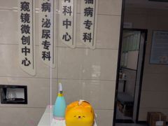 -半岛宠物医院24小时(白果林店)