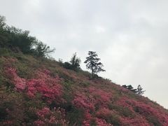 -木兰云雾山