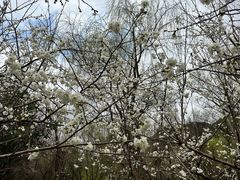 -贵阳市花溪国家城市湿地公园