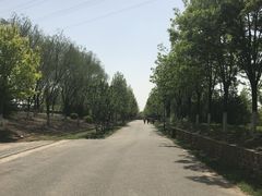 -永定河休闲森林公园