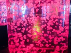 -重庆欢乐海底世界