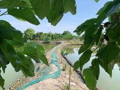 -丝绸小镇荻港古村