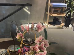 -施奈儿.洗头頭療.按摩SPA.采耳(上梅林店)