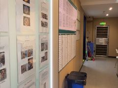 -瑞派伍一宠物医院·眼科·骨科·猫科转诊中心(马王堆院)