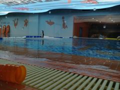 -蓝旗儿童游泳俱乐部(北国中心)