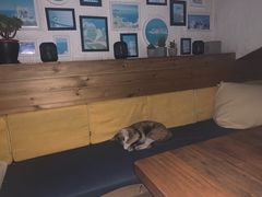 -Sirena海妖日咖夜酒