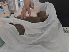 -宠颐生宠物医院·综合诊疗(先锋分院)