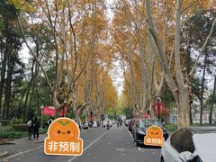 -浙江大学(玉泉校区)