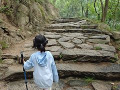 -北京鹫峰国家森林公园