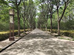 -洛阳市隋唐城遗址植物园