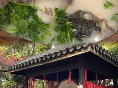 -天目湖山水园