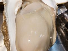 -蚝堡海鲜·威海菜·海肠捞饭·烧烤·亚洲吃蚝公司(幸福门店)