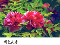 -迎泽公园
