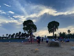 -碧海金沙
