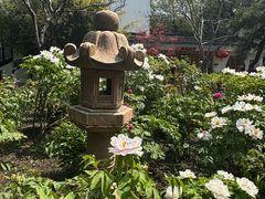 -龙华寺