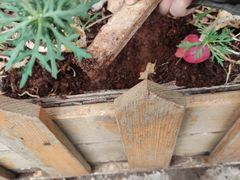 -饵块食光·云南有机手作饵块