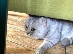 -不舍昼夜咖啡馆