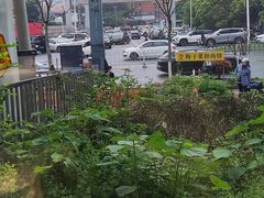 -院里寻菜·精致庭院菜(观沙岭店)