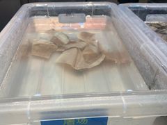 -长嘉·河图火锅(长嘉汇江景旗舰店)