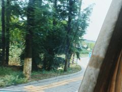 -黄海国家森林公园