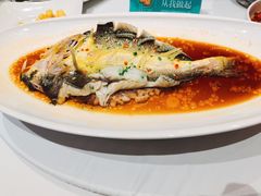 清蒸海钓黄鱼-巴音浩日娲·蒙餐(双林东路店)