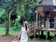 -南宁良凤江国家森林公园