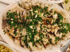 -魚當家