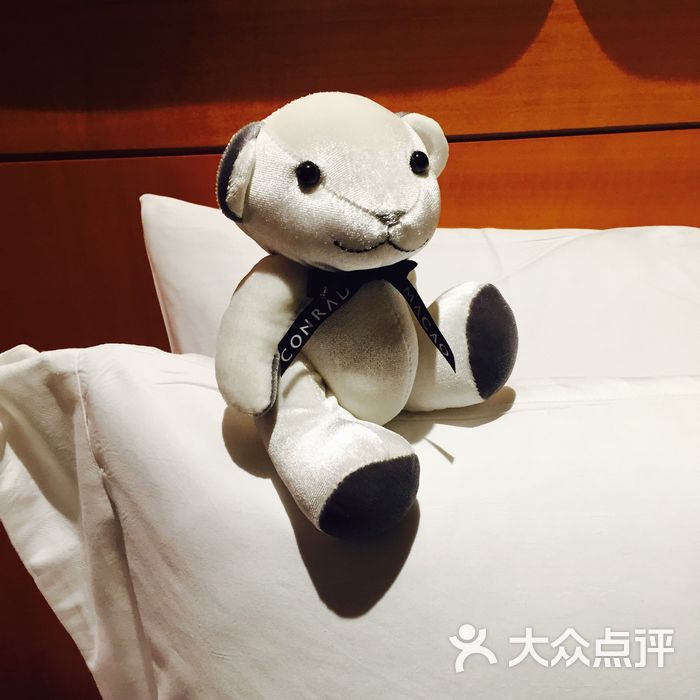 澳门金沙城中心康莱德酒店安睡小熊图片-北京豪华型-大众点评网