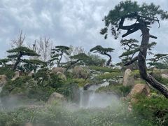 -罗红摄影艺术馆