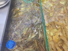 -大锅强·蒸海鲜青岛菜(吾悦广场店)