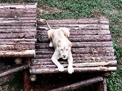 -泉州海丝野生动物世界