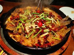 -老板恋上鱼(高新万达店)