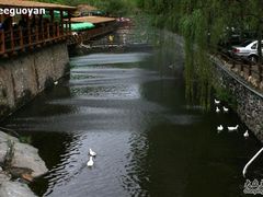 水面-北京水岸山吧度假村(雁栖镇店)