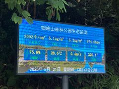 -广州市帽峰山景区