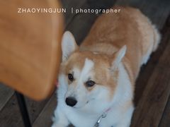 -肥朵食堂(带梦胡同店)